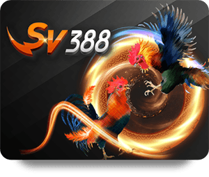 Top Sicbo Online Casinos: Where to Play and Win